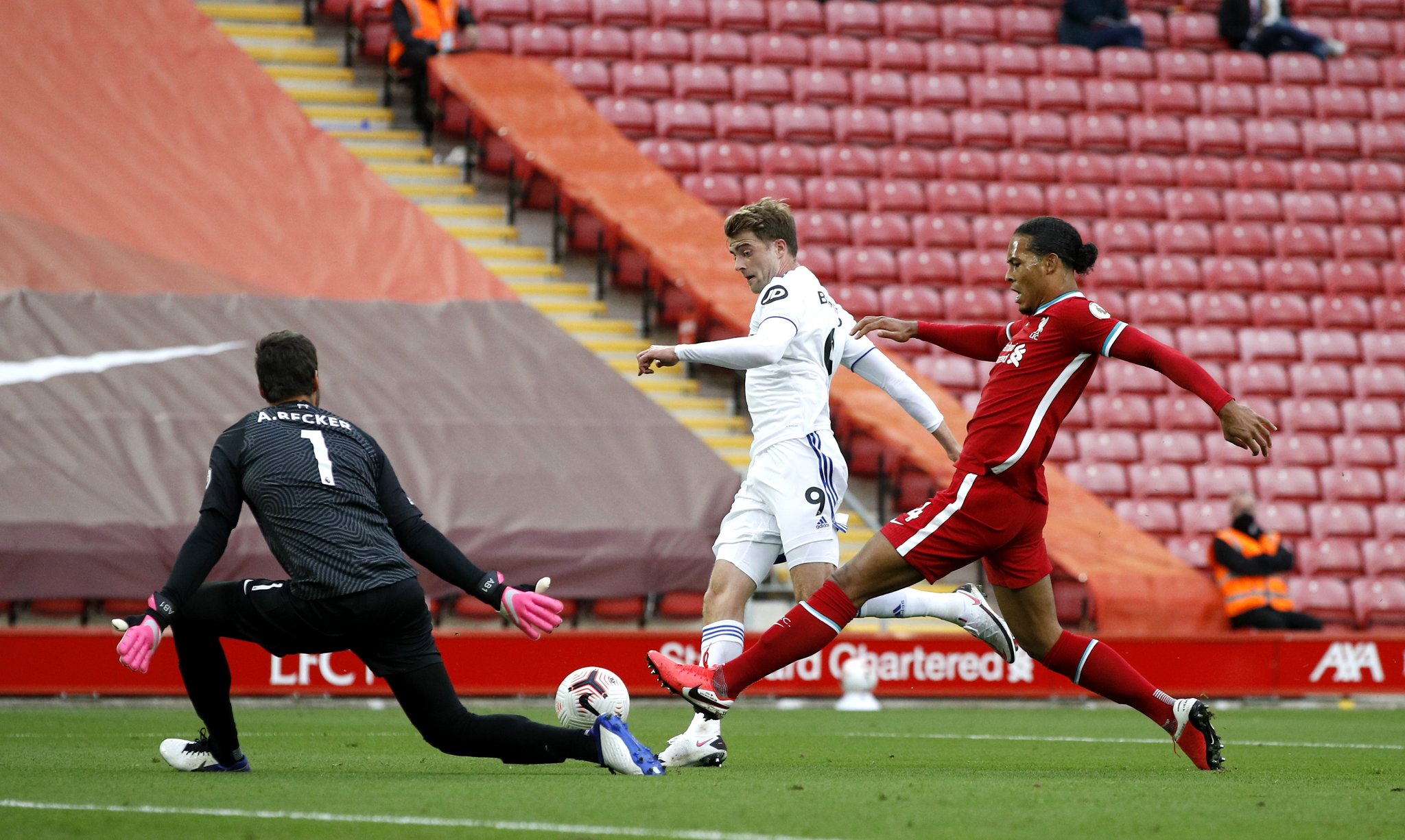 望在国际舞 望在国际舞